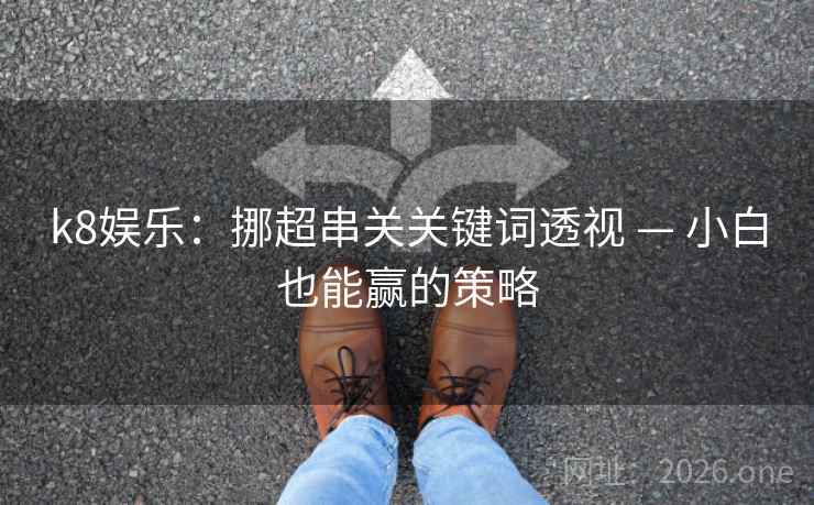 k8娱乐：挪超串关关键词透视 — 小白也能赢的策略  第2张