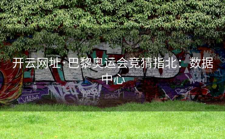 开云网址·巴黎奥运会竞猜指北:数据中心 第2张 开云网址·巴黎奥运会竞猜指北:数据中心 第2张