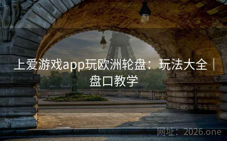 上爱游戏app玩欧洲轮盘：玩法大全｜盘口教学  第2张