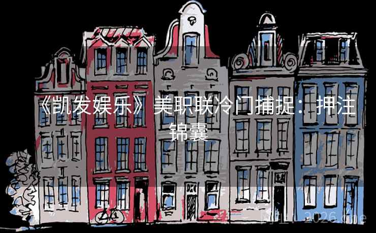 《凯发娱乐》美职联冷门捕捉：押注锦囊  第1张