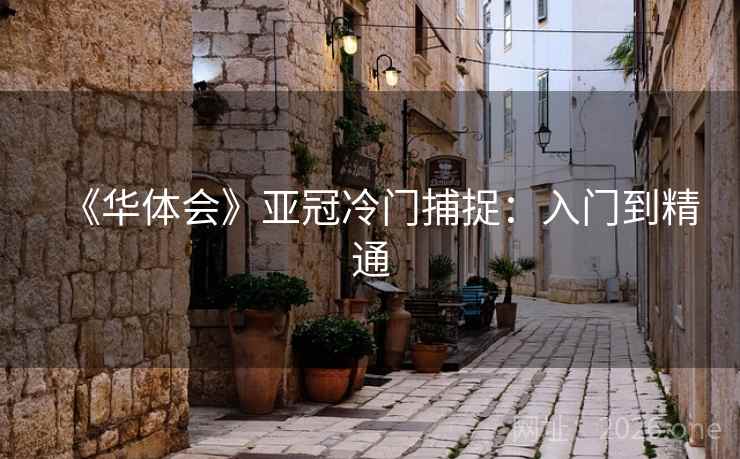 《华体会》亚冠冷门捕捉:入门到精通 第2张 《华体会》亚冠冷门捕捉:入门到精通 第2张