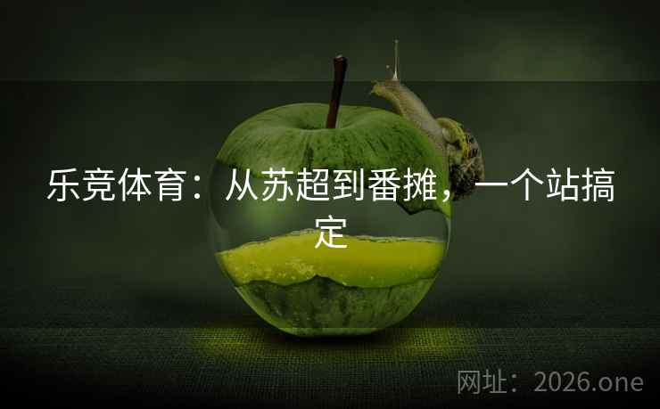 乐竞体育：从苏超到番摊，一个站搞定  第2张