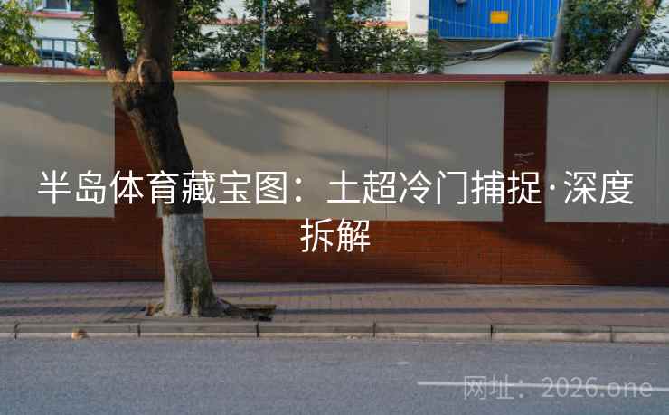 半岛体育藏宝图:土超冷门捕捉·深度拆解 第2张 半岛体育藏宝图:土超冷门捕捉·深度拆解 第2张