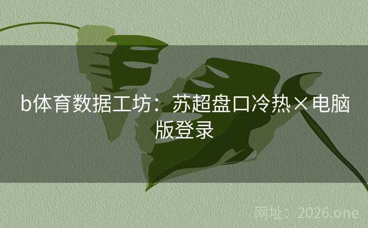 b体育数据工坊：苏超盘口冷热×电脑版登录  第2张