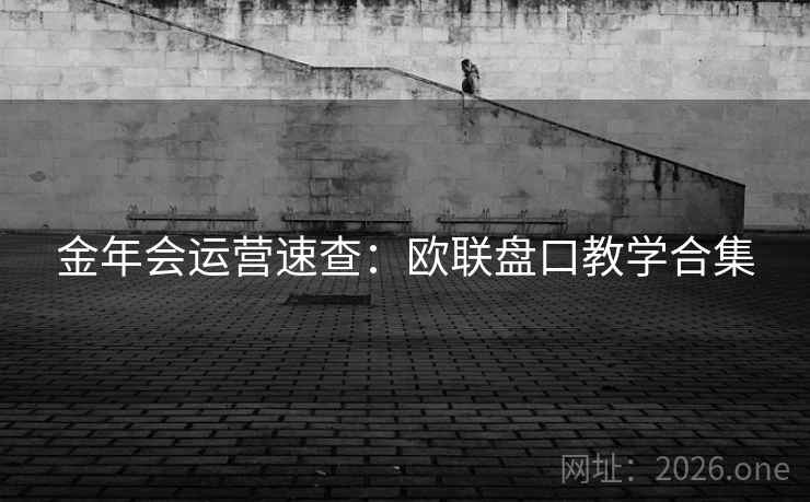 金年会运营速查:欧联盘口教学合集 第2张 金年会运营速查:欧联盘口教学合集 第2张