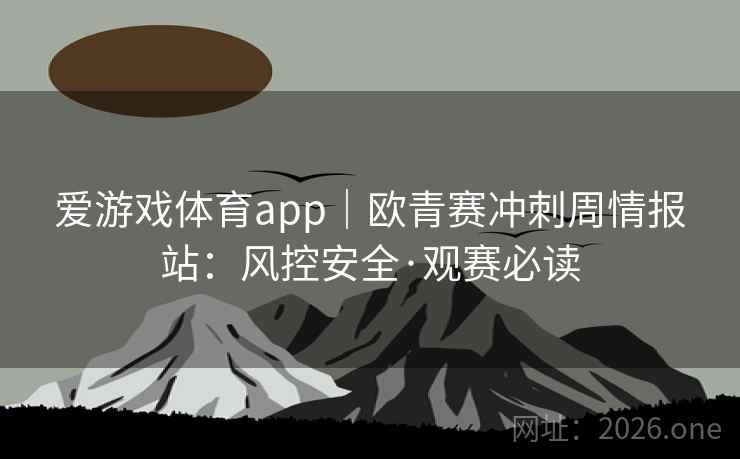 爱游戏体育app｜欧青赛冲刺周情报站：风控安全·观赛必读  第2张