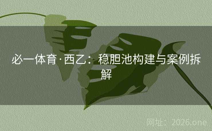 必一体育·西乙:稳胆池构建与案例拆解 第2张 必一体育·西乙:稳胆池构建与案例拆解 第2张
