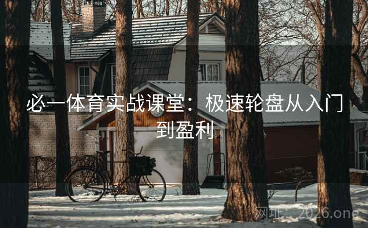 必一体育实战课堂：极速轮盘从入门到盈利  第2张