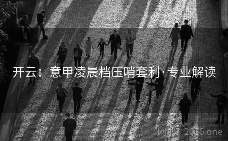 开云：意甲凌晨档压哨套利·专业解读  第1张